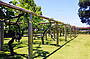 Swan Valley Gourmet Wine Cruise 